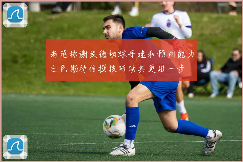 老范称谢泼德切球手速和预判能力出色期待传授技巧助其更进一步