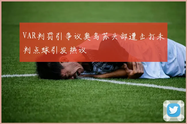 VAR判罚引争议奥乌苏头部遭击打未判点球引发热议