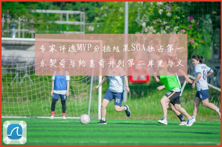 专家评选MVP分档结果SGA独占第一东契奇与约基奇并列第二库里与文班位列第四