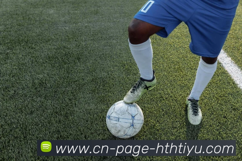 华体会体育发展历程