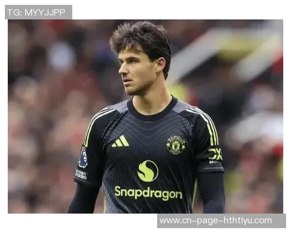 费迪南德称赞拉门斯稳定表现提升全队信心助力战胜桑德兰